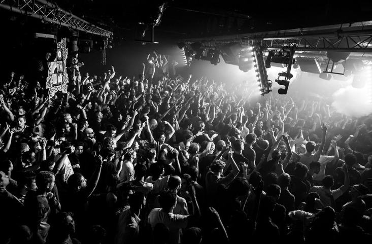 Dark Fusion live, photo 3